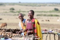 30.01.2015 - game drive masai mara kenya ** foto Â© thomas zÃ¶ller ** foto ist honorarpflichtig! ** auf anfrage in hoeherer qualitaet/aufloesung
